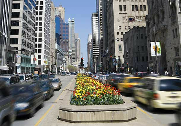 Готель Courtyard Chicago St. Charles Сент-Чарлз Екстер'єр фото